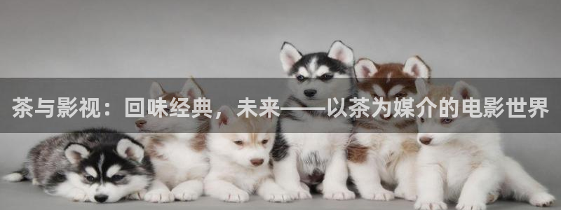 金牌电影：茶与影视：回味经典，未来——以茶为媒介的电影世界