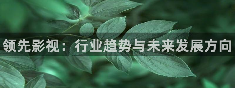 金牌荣耀电影在线观看：领先影视：行业趋势与未来发展方向