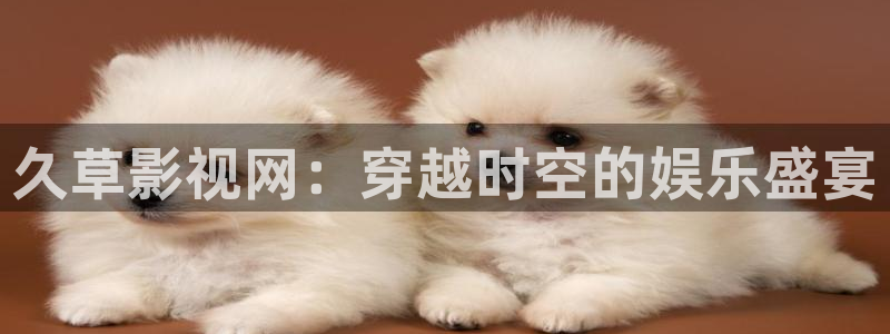 金牌影院剧入口：久草影视网：穿越时空的娱乐盛宴