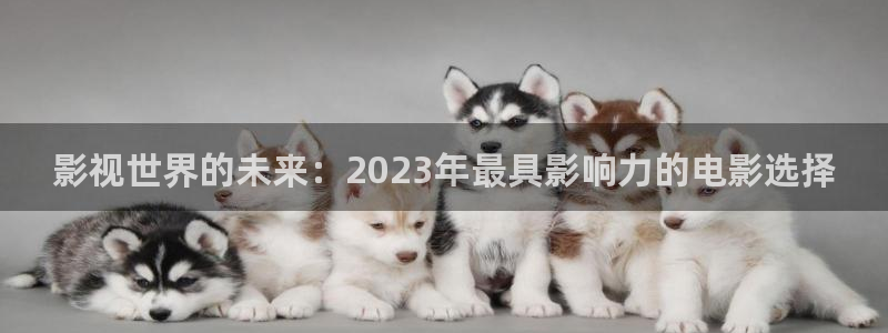 金牌影视剧免费入口：影视世界的未来：2023年最具影响力的电影选择