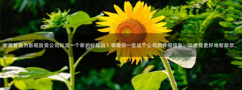 金牌影院最新电影推荐：您需要我为影视投资公司拟定一个新的标题吗？请提供一些这个公司的详细信息，以便我更好地帮助您。