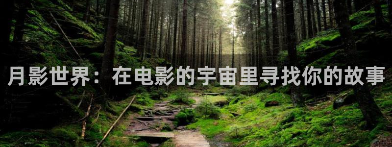 金牌影院在线观看电视剧：月影世界：在电影的宇宙里寻找你的故事