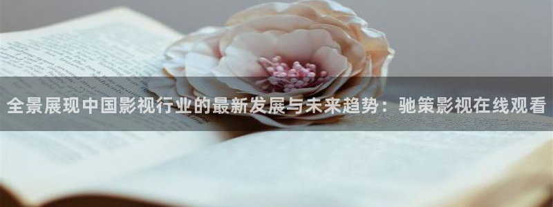 金牌影音：全景展现中国影视行业的最新发展与未来趋势：驰策影视在线观看