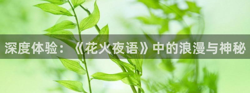 长乐曲金牌影院：深度体验：《花火夜语》中的浪漫与神秘